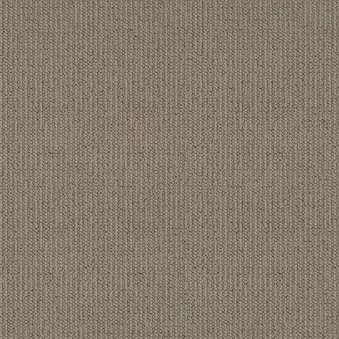 Pigeon Point carpet swatch